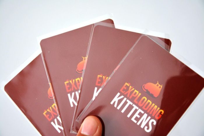 Hướng dẫn cách chơi trò chơi Mèo nổ Exploding Kittens hấp dẫn - ảnh minh họa 2