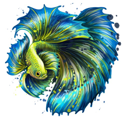 Tặng cá Guppy, Betta cho người mới: cách chuẩn bị cá khỏe và hướng dẫn người nhận chăm đúng